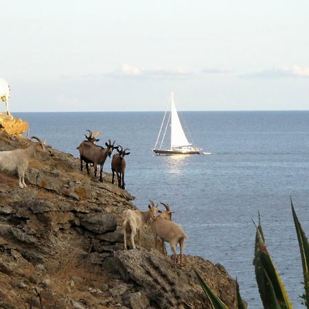 Isola D'Elba Come In Barca, A Un Tuffo Dal Mare Каполивери Экстерьер фото