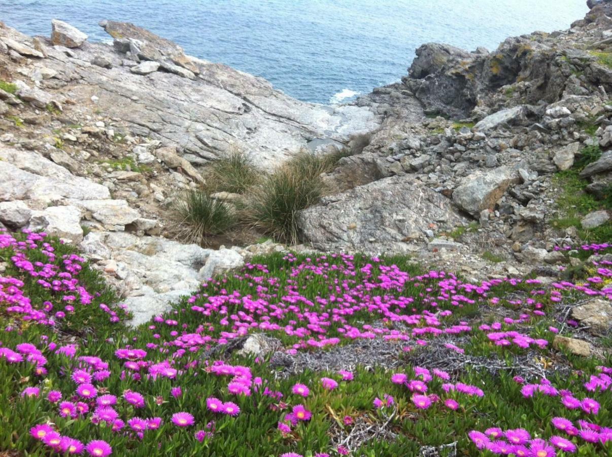 Isola D'Elba Come In Barca, A Un Tuffo Dal Mare Каполивери Экстерьер фото